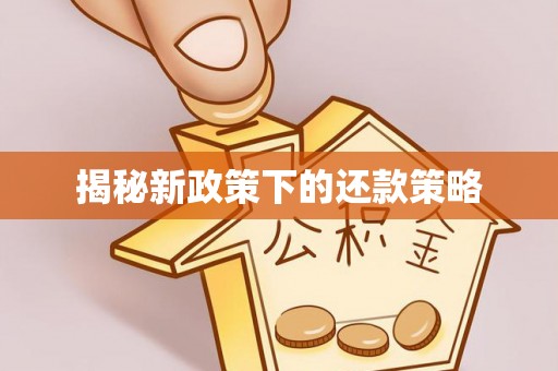 保德揭秘新政策下的还款策略
