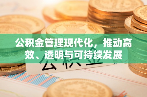 保德公积金管理现代化，推动高效、透明与可持续发展
