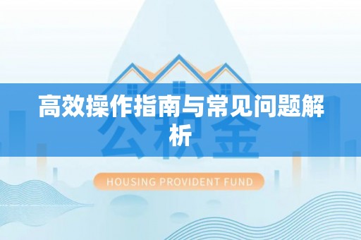 保德高效操作指南与常见问题解析
