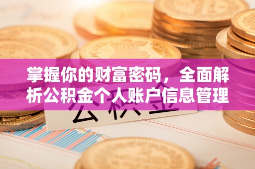 保德掌握你的财富密码，全面解析公积金个人账户信息管理与优化