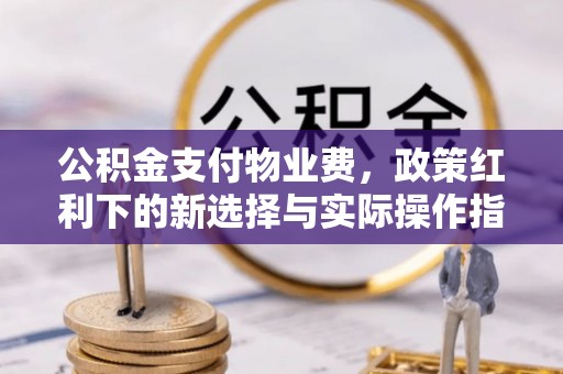 保德公积金支付物业费，政策红利下的新选择与实际操作指南