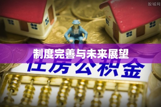 保德制度完善与未来展望