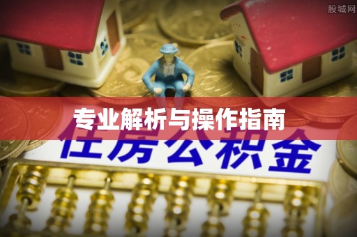 保德专业解析与操作指南