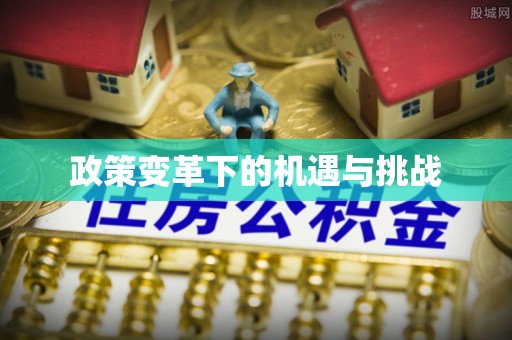 保德政策变革下的机遇与挑战