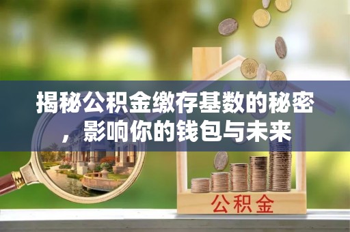 保德揭秘公积金缴存基数的秘密，影响你的钱包与未来