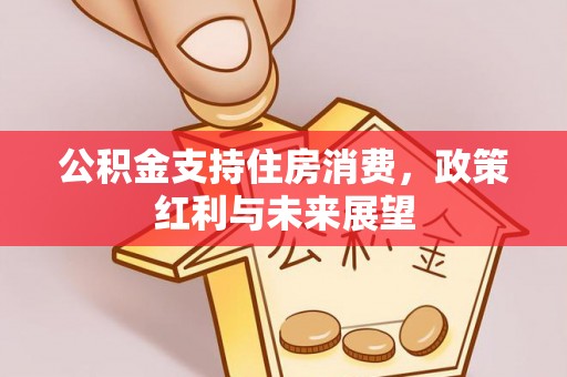保德公积金支持住房消费，政策红利与未来展望
