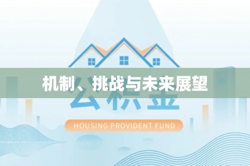 保德机制、挑战与未来展望